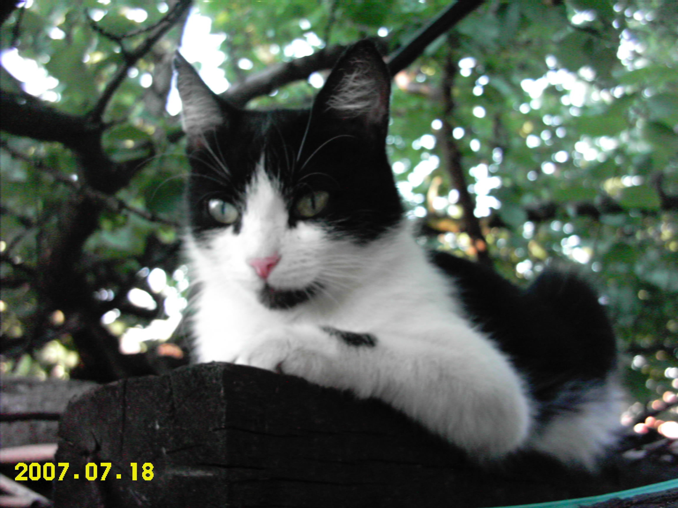 http://dgmag.in/forum/misc.php?action=pun_attachment&amp;item=1013&amp;download=0