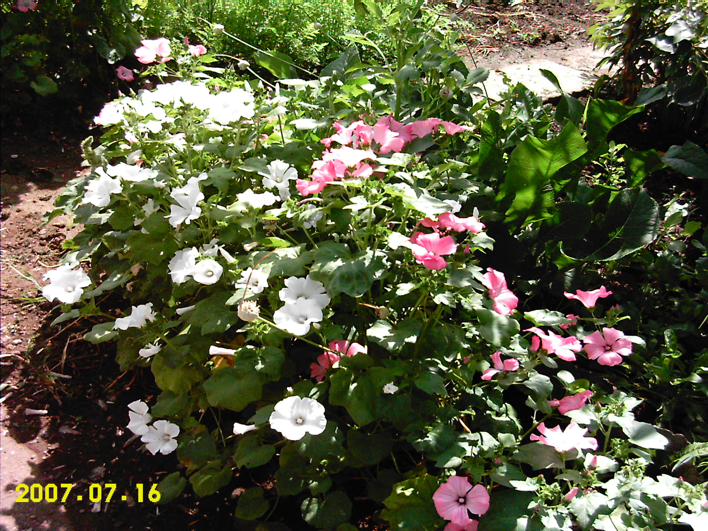 http://dgmag.in/forum/misc.php?action=pun_attachment&amp;item=1016&amp;download=0