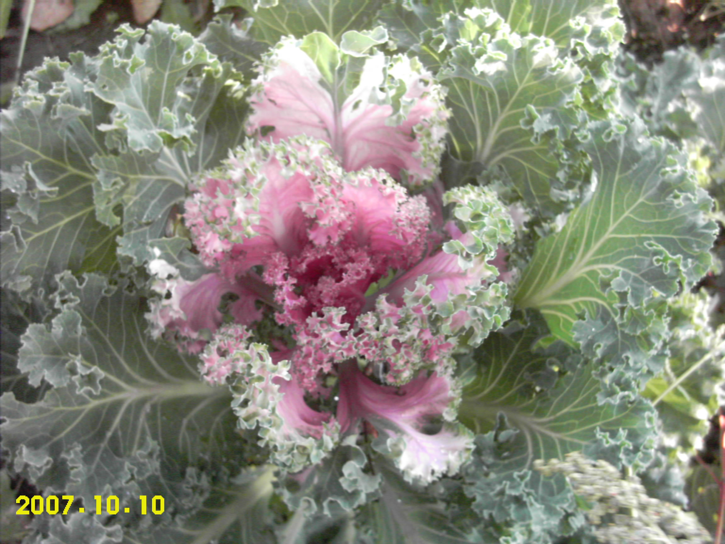 http://dgmag.in/forum/misc.php?action=pun_attachment&amp;item=1018&amp;download=0