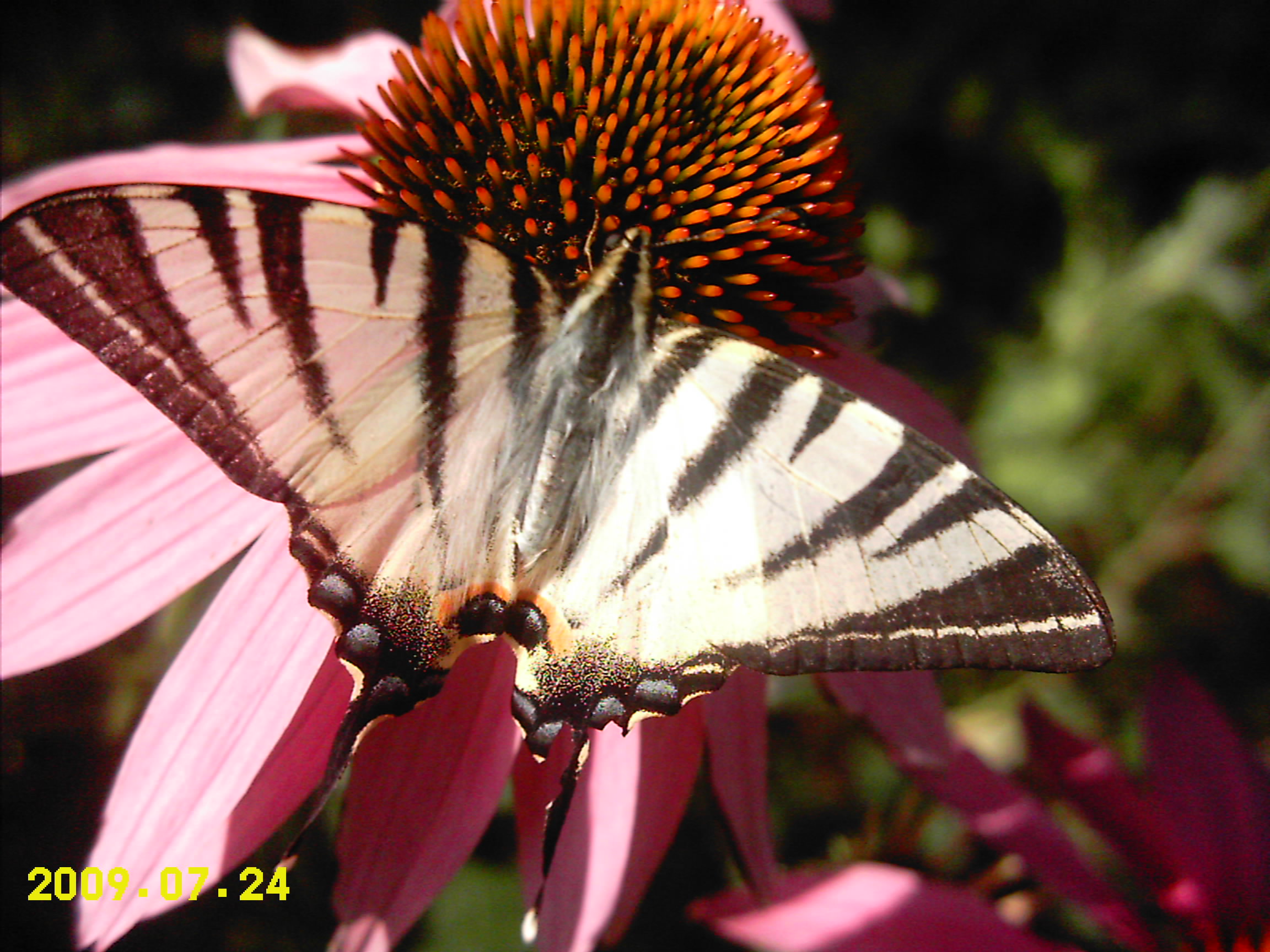 http://dgmag.in/forum/misc.php?action=pun_attachment&amp;item=1020&amp;download=0